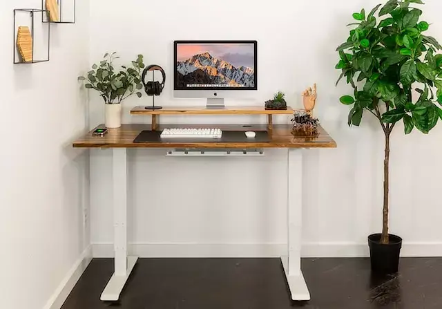 Ergonomia Home Office